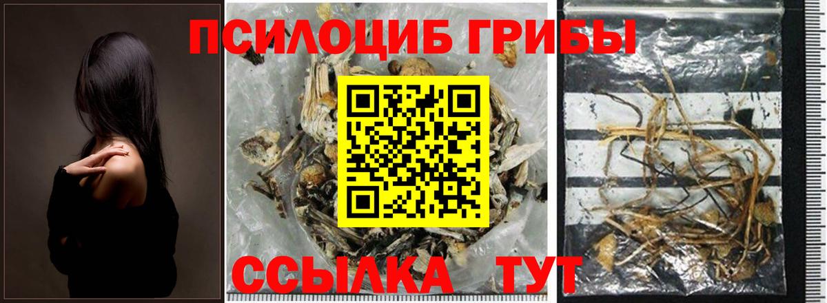 Галлюциногенные грибы MAGIC MUSHROOMS Белая Калитва
