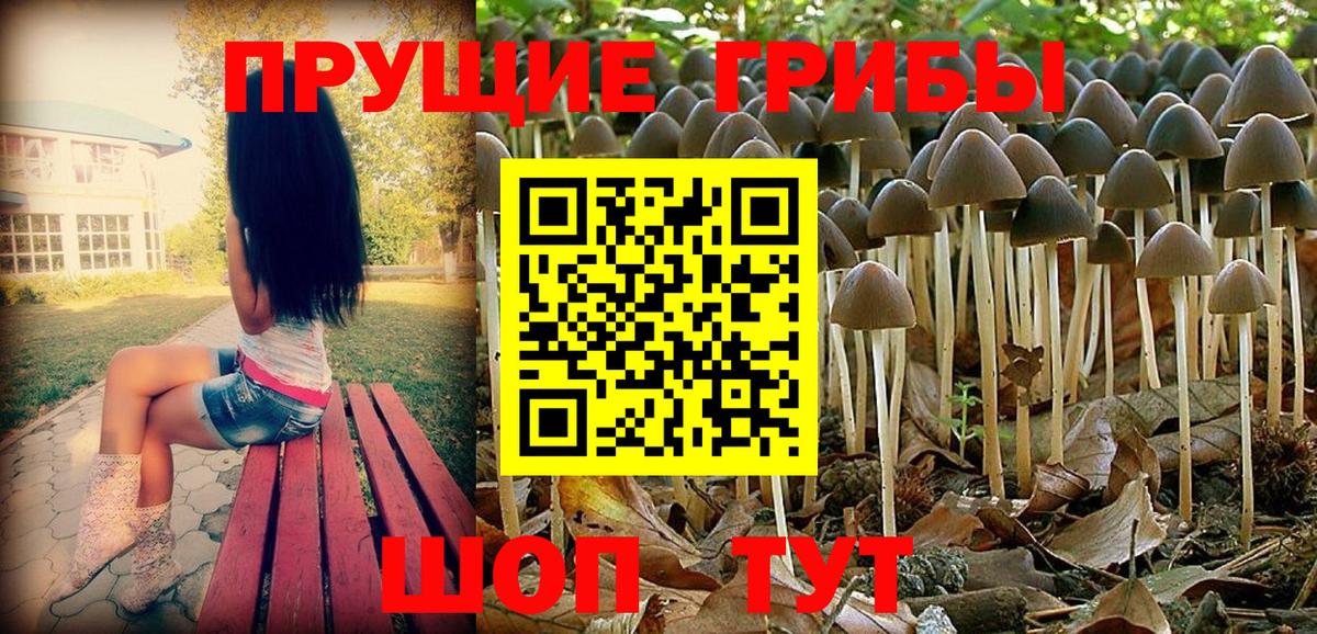 Галлюциногенные грибы Magic Shrooms  Вход с VPN  Белая Калитва  Псилоцибиновые грибы мухоморы 